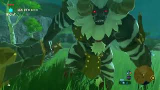 【BOTW/Master Mode 】No.5 Great Plateau Lynel