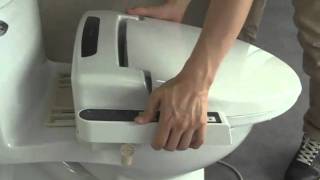 Blooming Bidet Installation movie 720 480.wmv