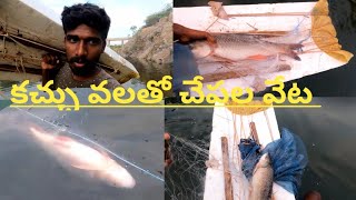 కచ్చు వలతో చేపల వేట // fishing in net //  fishing all Telugu