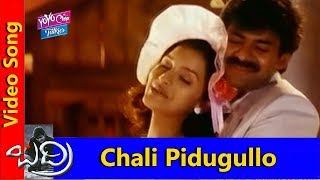 Chali Pidugullo Video Song | Badri Movie Songs | Pawan Kalyan,Amisha Patel | YOYO TV Music