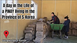 Vlog 211 KOREAN GENSING IN HONEY| PERILLA POWDER | PROVINCE LIFE IN WINTER | PINAY IS S-KOREA