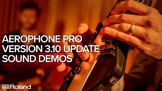 Roland Aerophone Pro AE-30 V3.10 Update Sound Demos