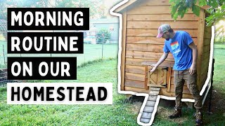 Morning Routine of a FIRST YEAR Homesteader (2.5 Acre Homestead)