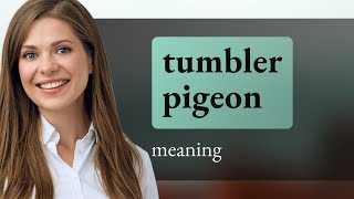 Tumbler pigeon • TUMBLER PIGEON meaning