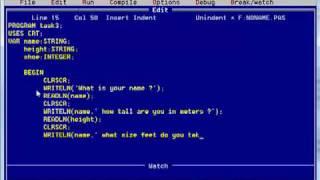 Pascal variables