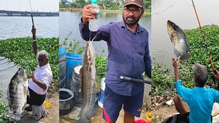 ஏரியில் தூண்டில் வைத்து,🐠🐟 கெளுத்தி மீன், ஜிலேபி மீன், பூறாகசி மீன் வேட்டை 😱😱#trending #fish#shorts