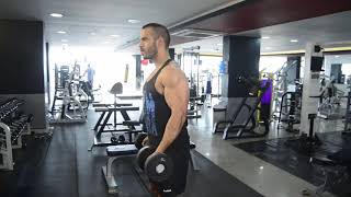 تبادل بايسبس واقف - دامبل باي -  Dumbbell Alternate Bicep Curl