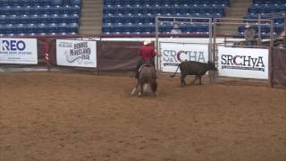 SRCHA  Wild Rag Classic   052017   Open Derby Cow   BLT Smart Little Rey   Dell Hendricks