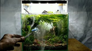 How to make Natural Aquascape