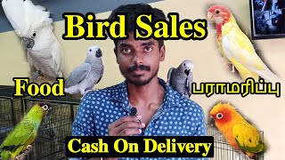 வெளிநாட்டு பறவைகள் | Pet Birds Sales | How To Care Pets | Every Details To Know |