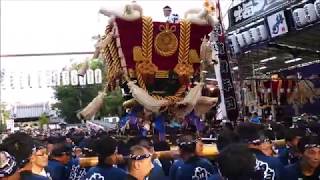 百舌鳥八幡宮秋祭り　中百舌鳥町ふとん太鼓　　宮入　本殿前（２０１８年９月２２日）－３