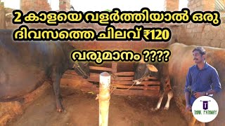 Bull Farming in malayalam