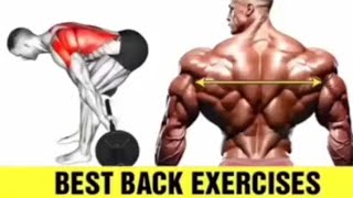 Wings Exercises for Man | Back Exercises in Gym 🔥