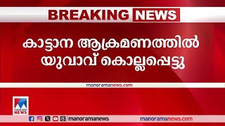 ഇടുക്കിയില്‍ കാട്ടാന ആക്രമണത്തില്‍ യുവാവ് മരിച്ചു|wild elephant