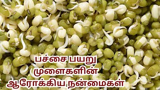 Health Benefits of|Moong Dal Sprouts|பச்சை பயறு  முளைகளின் ஆரோக்கிய நன்மைகள்