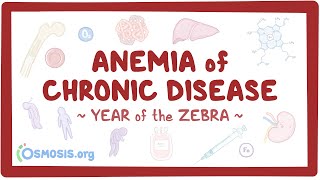 Anemia of chronic disease (Year of the Zebra)