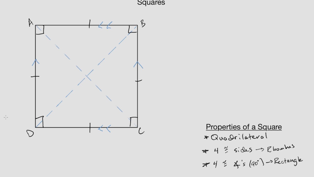 Properties Of A Square The Q 1 Renaissance Sq Square New