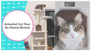 Armarkat Cat Tree: An Honest Review