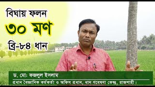 বিঘায় ফলন ৩০ মণ, উচ্চফলনশীল জিঙ্কসমৃদ্ধ ধান ব্রি-৮৪