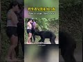 how to save yourself if you encounter a bear in the wild shorts nature wildlife animal