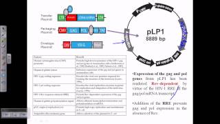 Gene therapy using retrovirus vector