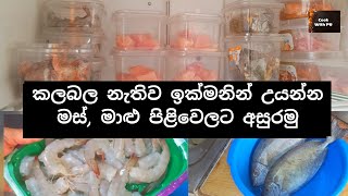 සති දෙකකට මම මස්,මාළු පිළියෙල කරගන්න හැටි | Cook With PR