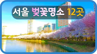 미리보는 서울벚꽃명소 12곳 가볼만한곳 소개해요! 1탄 Seoul Travel Cherry Blossom Path Spots