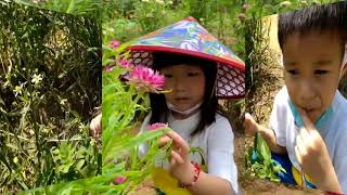 故事島幼兒園沈浸式客語教學110.4_ 全園幼生_花花世界