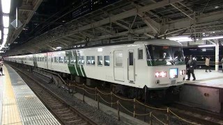 東海道本線 １８５系　３７３３Ｍ「湘南ライナー１３号」　東京駅発車