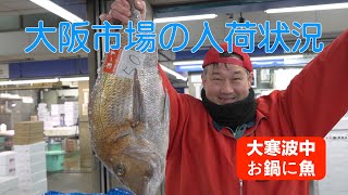 【中央市場】「大寒波の食卓は脂の乗った季節のお魚鍋がオススメ」A Harsh Cold Wave Calls for a Hearty Fatty Fish Hot Pot