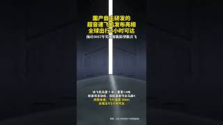 中國自主研發的超音速飛機發佈，全球出發3小時可達，預計2027年實現客機原型機首飛 #新聞#飛機 #shorts #中國