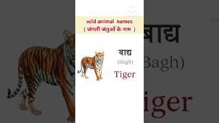 Wild animals names / (जंगली जानवरों का नाम)/ wild animals names  in hindi and english #shorts