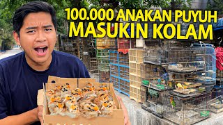 MASUKIN 100.000 KEPITING DARI PASAR IKAN KE KOLAM! TERNYATA KURA-KURA MONSTER AKU DOYAN BANGET!