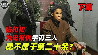 张扣扣受审现场真实影像，为母报仇手刃三人，属不属于第二十条？