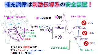 心電図：暗記からの卒業 77話 補充調律