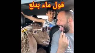 قول ماء  اموت واعرف كيف اقنعو يحكيها هيك 😂😂