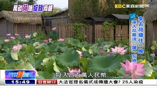 花花世界「蓮」綿不斷 農村旅遊「綻放」商機  《海峽拚經濟》@newsebc