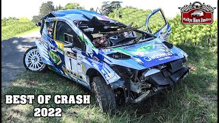 BEST OF RALLY 2022 | CRASHES & MISTAKES