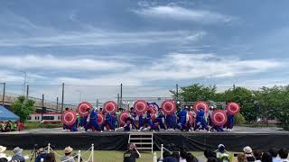 第16回犬山踊芸祭 岐阜大学騒屋 メイン会場 2019.06.01