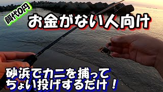 【2023年カニゲーム＃03】餌代0円！お金も時間もない人必見！砂浜からちょい投げしてチヌを狙う！チニング、カニング、富山、落とし込み