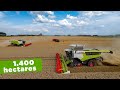 Visiting the biggest arable farm in NL🇳🇱 | Claas Lexion 8900 & 780 | KMWP | Stubble cultivations