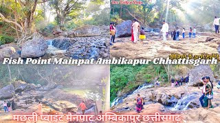 Fish point mainpat ambikapur Chhattisgarh | मछली प्वाइंट मैनपाट अम्बिकापुर छत्तीसगढ़ #devpaikravlogs