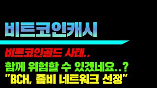 비트코인골드 사태.. 비트코인캐시 함께 위험할 수 있겠네요..? \