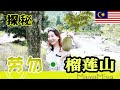 【大马生活】探秘马来西亚彭亨州-劳勿榴莲山 /一路帮园主捡榴莲/无敌新鲜的榴莲太好吃/教华人大伯说重庆话//Raub Durian Mountain/Durian Season in Malaysia