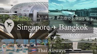 〔弾丸海外旅行 #2〕シンガポール・チャンギ空港を満喫✈️ | 新卒OLの休日 | タイ航空搭乗記(シンガポール✈︎バンコク)