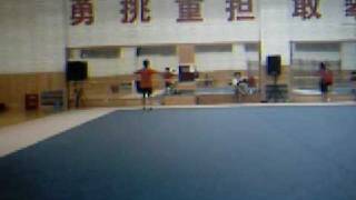 cheng du wushu team 2007 (chang quan2)