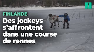 En Finlande, des jockeys s'affrontent dans des courses de rennes