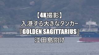 【4K撮影】入港する大きなタンカー『GOLDEN SAGITTARIUS』