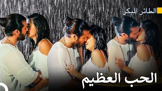 حبنا هو أجمل حب في العالم - مسلسل الطائر المبكر