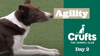 Crufts Singles Final: Small, Medium, Intermediate and Large (Agility) Part Two | Crufts 2025